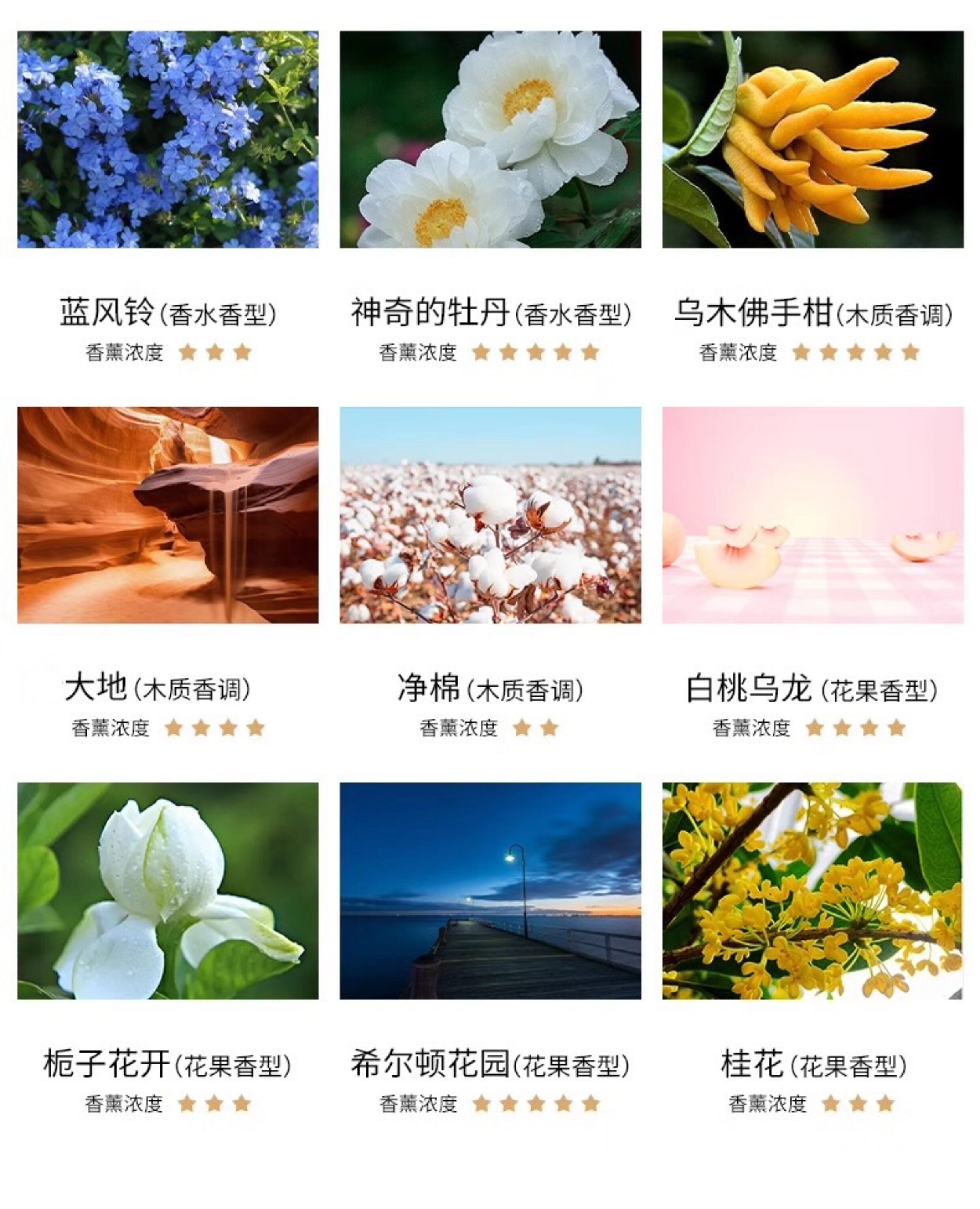详情图_11.jpg