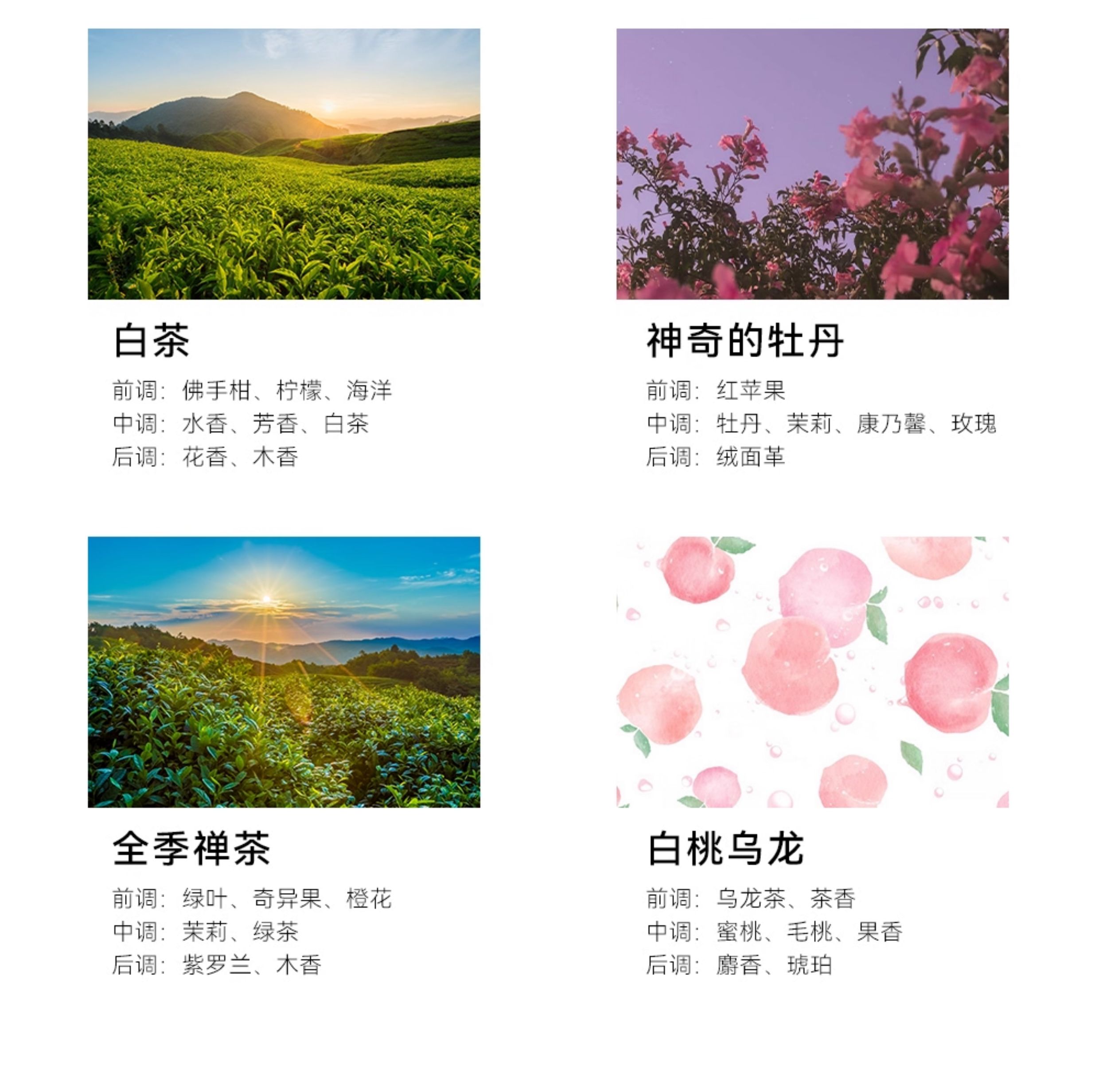 详情图_10.jpg