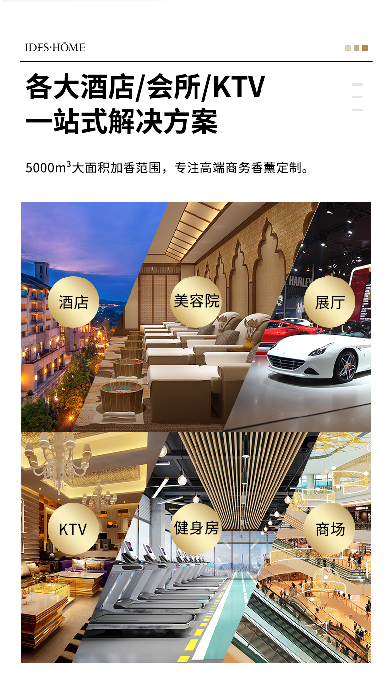 DFSD-5001-.._03.jpg